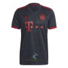 Officiële Voetbalshirt FC Bayern München Derde 2022-23 - Heren